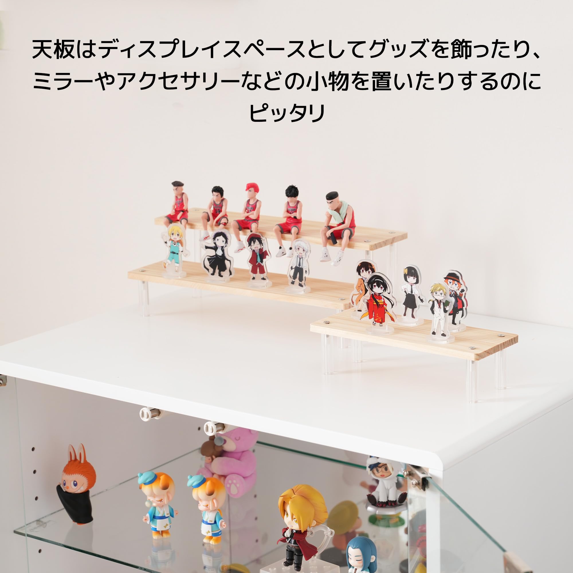 Amazon.co.jp: OSJ コレクションケース ワイド 大容量 コレクション